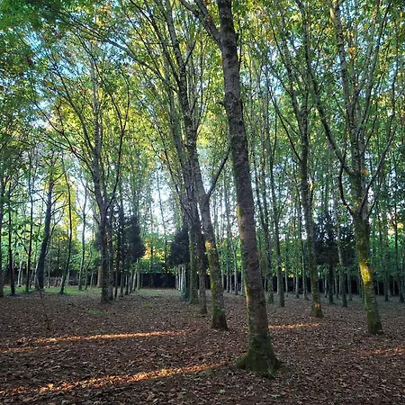 Villa Oasis Ponte San Lazaro *