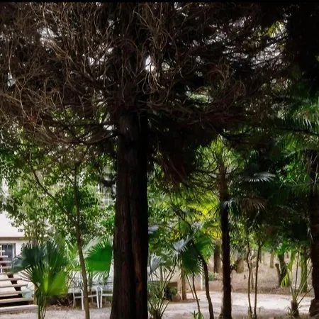 Βίλα Oasis Ponte San Lazaro *