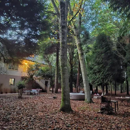 Oasis Ponte San Lazaro * Santiago de Compostela