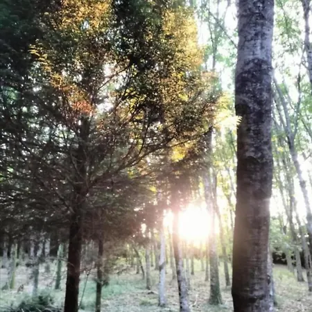 Oasis Ponte San Lazaro * Saint-Jacques-de-Compostelle