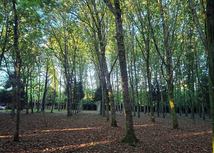 Villa Oasis Ponte San Lazaro *