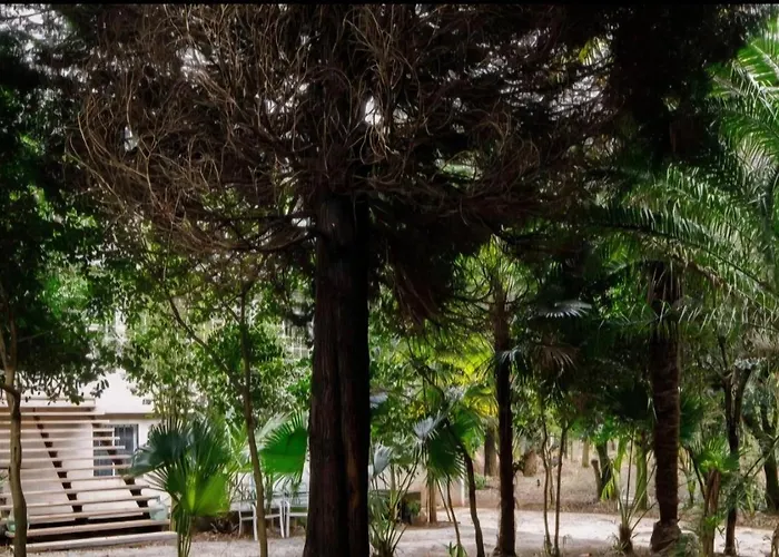 Villa Oasis Ponte San Lazaro *