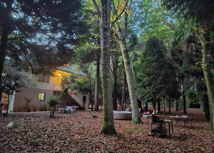 Oasis Ponte San Lazaro * Santiago de Compostela