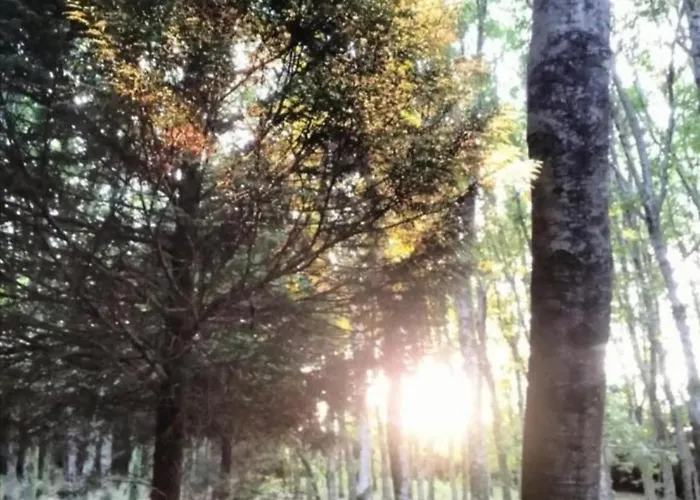 Oasis Ponte San Lazaro * Santiago de Compostela